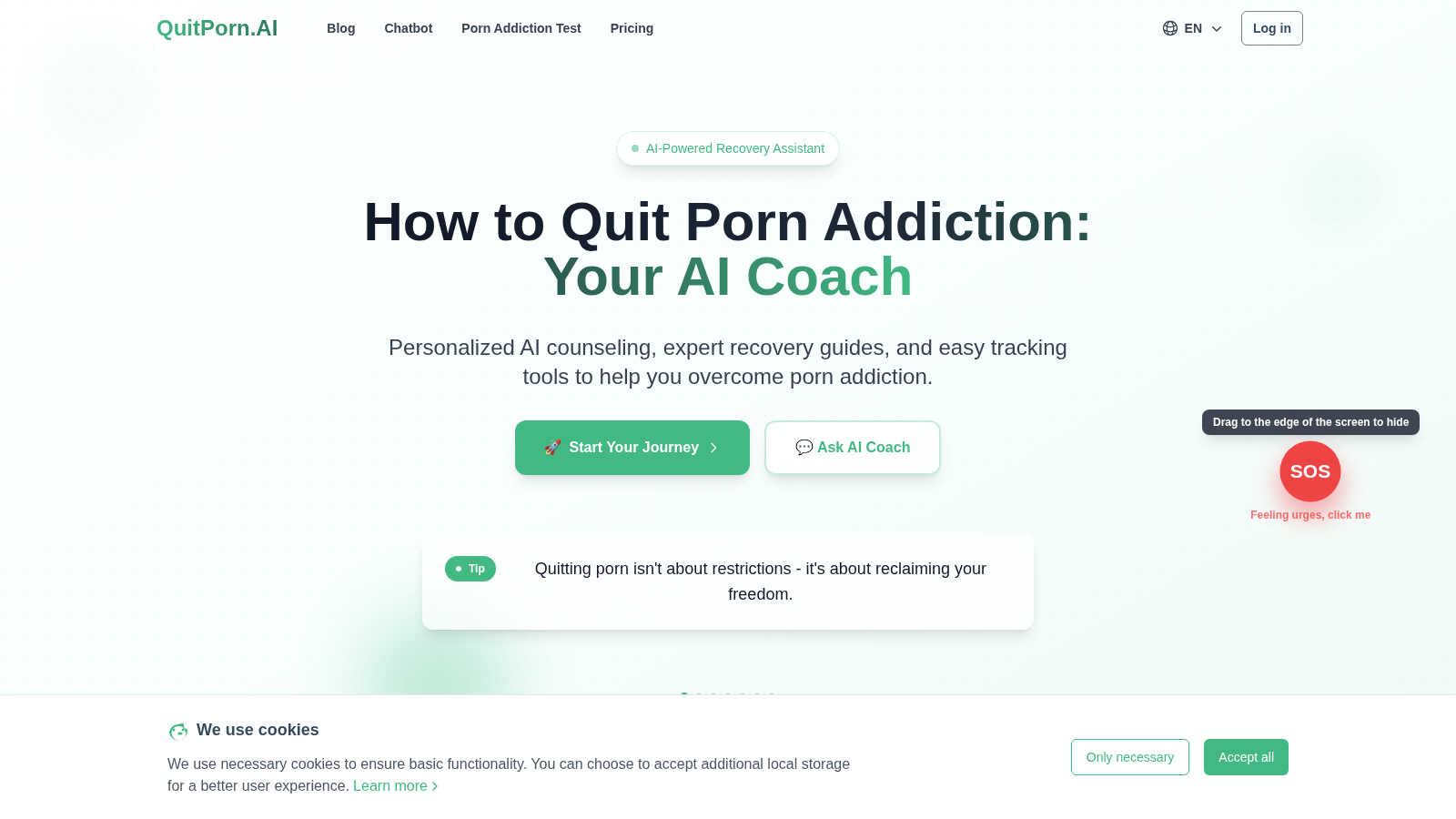 Quit Porn AI AI tool interface and features