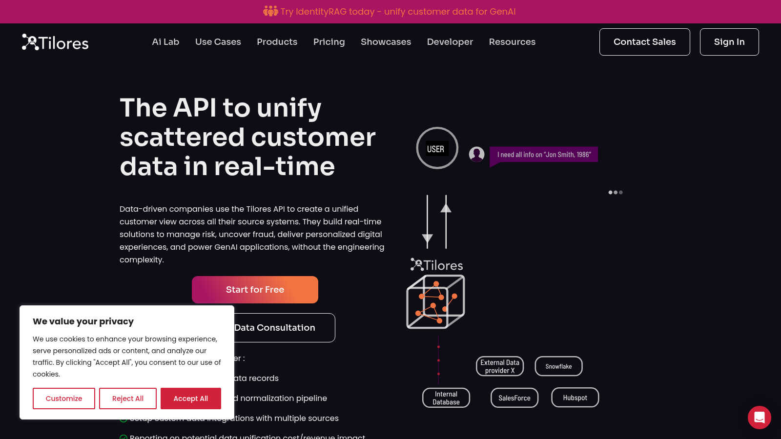 Tilores AI tool interface and features