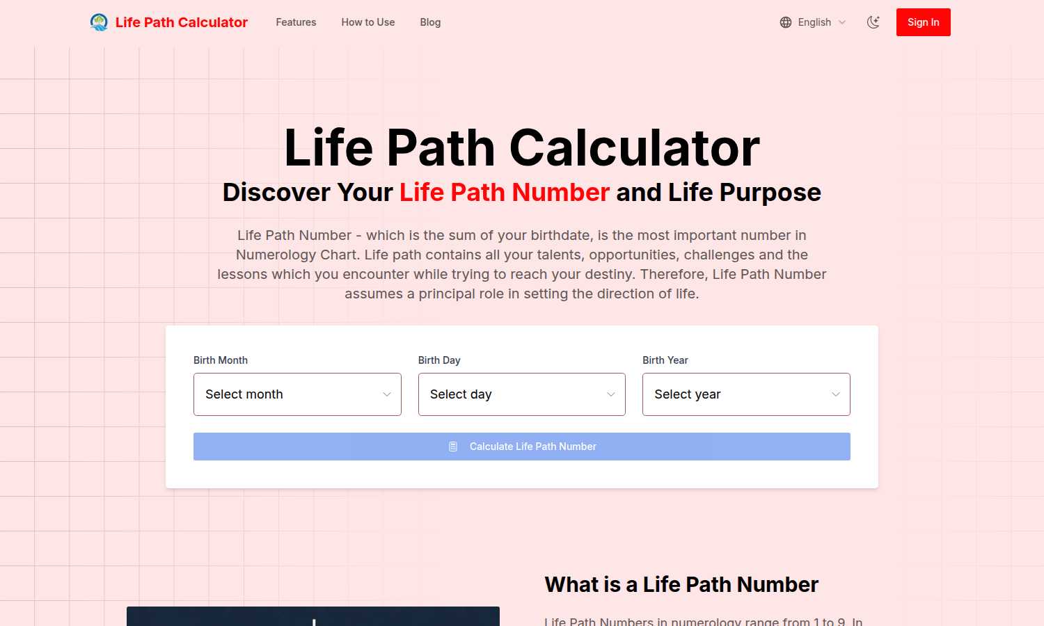 Life Path Calculator AI tool interface and features