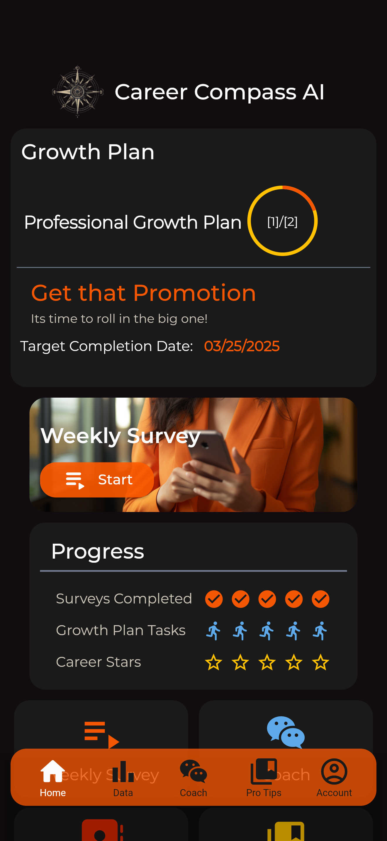 Career Compass AI AI tool interface and features