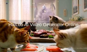 Hailuo AI Video Generator Website